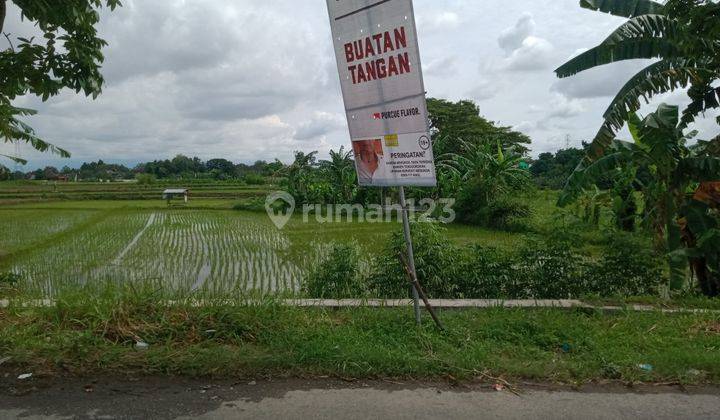 Tanah Sawah Jalan Mahoni Wirokerten Banguntapan Bantul Yogyakarta 1