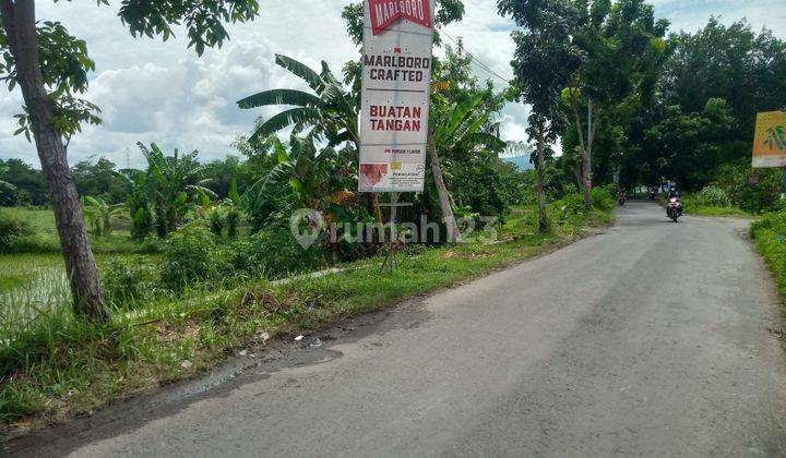 Tanah Sawah Jalan Mahoni Wirokerten Banguntapan Bantul Yogyakarta 2