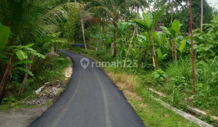 Tanah Pekarangan Argomulyo Sedayu Bantul Yogyakarta 2