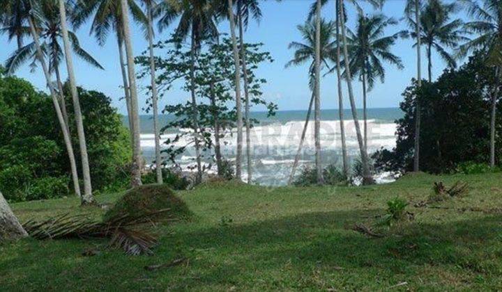 Bonian beach surving in Tabanan 1