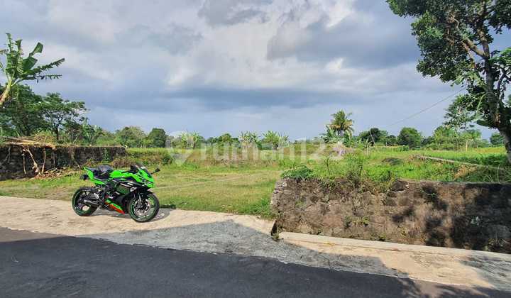 TANAH SUPER CANTIK  DAN MURAH DI TIMUR KANTOR BPN