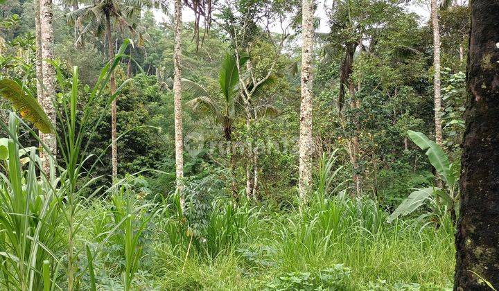 Tanah view sungai dan jungle dekat Samsara Resort Ubud Bali 1