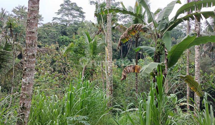 Tanah view sungai dan jungle dekat Samsara Resort Ubud Bali 2