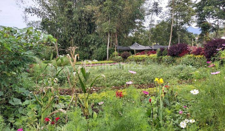 Tanah KompleK Triniti Cihideung Parongpong Hadap Selatan 1