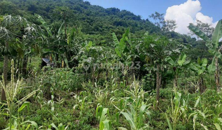 Kavling Desa Lagadar, Margaasih, Kab. Bandung, Cimahi 2