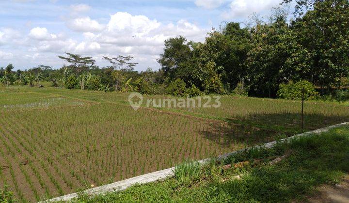 Sawah 7040m2 Dekat Jalan Matesih Karanganyar Matesih 2