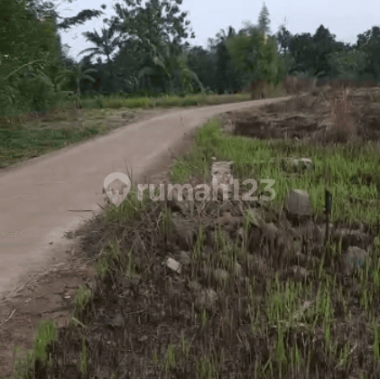 Lahan Sindangheula Bisa Disewakan Nego Tipis 1