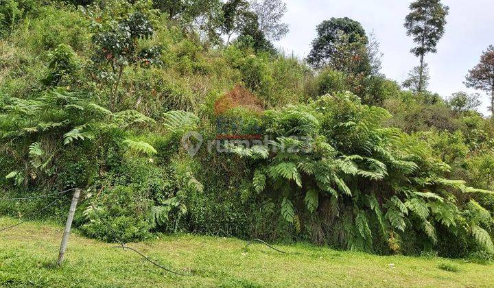 Tanah kavling Triniti, lokasi berada di kawasan wisata Lembang 1