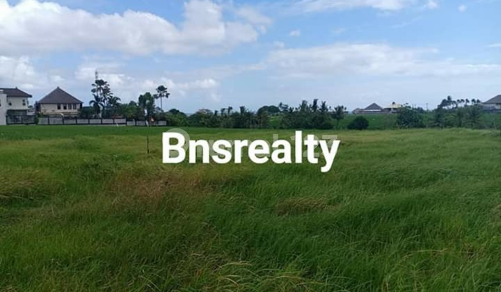 Tanah Lokasi Cemagi Tanah Lokasi Cemagi