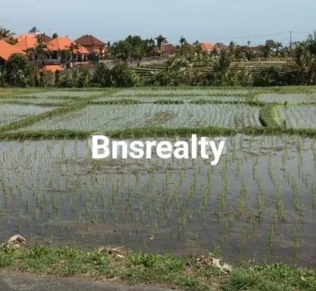 Tanah Lokasi Cemagi Tanah Lokasi Cemagi