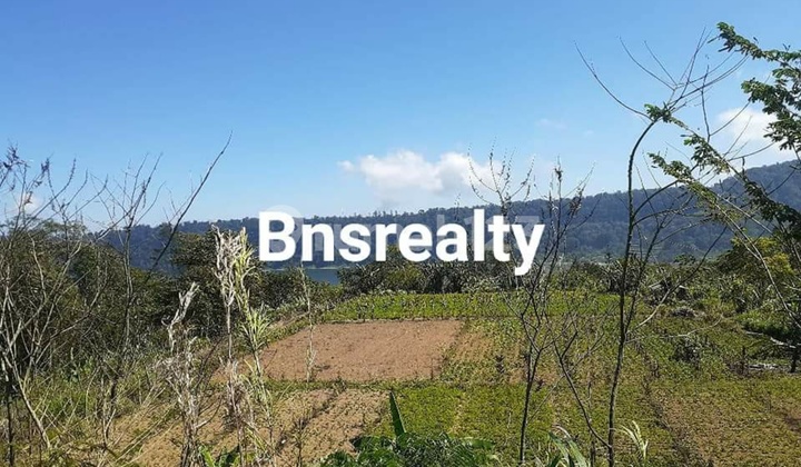 Land Location Pancasari Land Location Pancasari