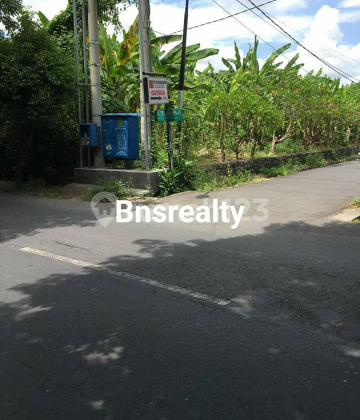 Youth1 Location Land