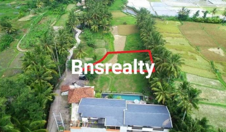 Land Location Peliatan