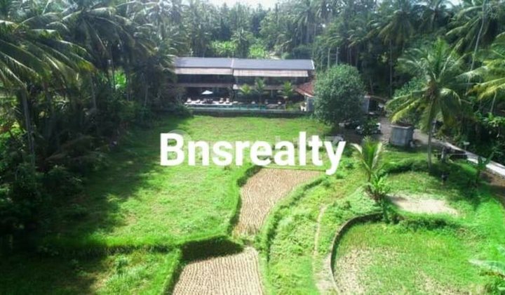 Land Location Peliatan