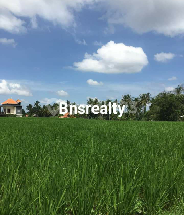 Land Location Peliatan