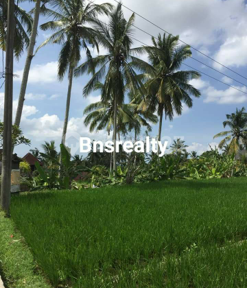 Land Location Peliatan