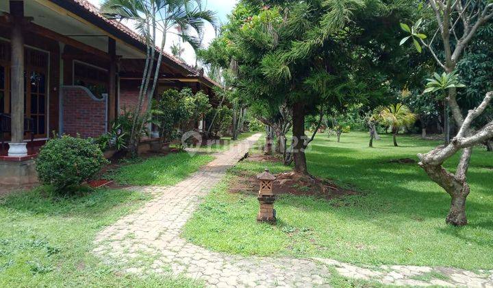 Hostel - cheap bungalows for sale quickly in north Bali 2