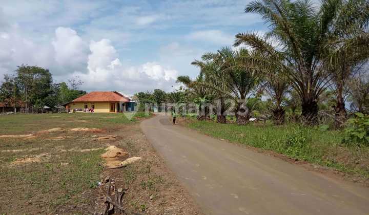 Tanah Lahan Luas di Ciemas, Sukabumi – Jawa Barat