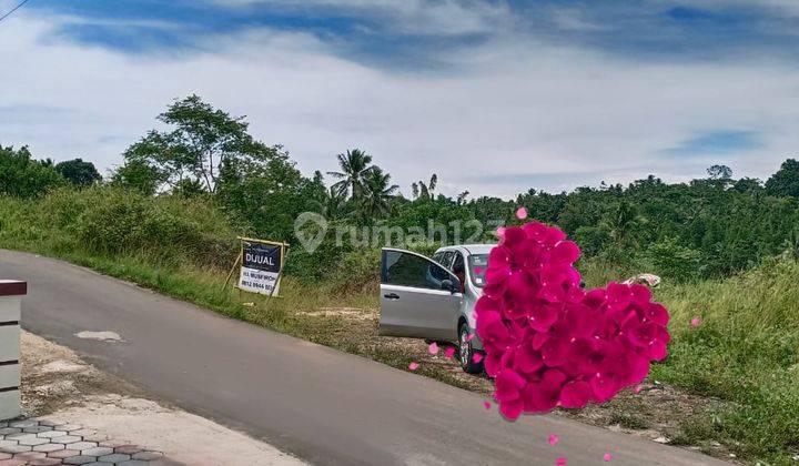 Tanah Murah Bulakan Cibeber Bisa Disewakan 1