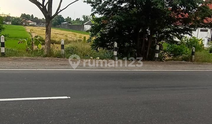 Tanah pinggir jalan raya cocok untuk pabrik