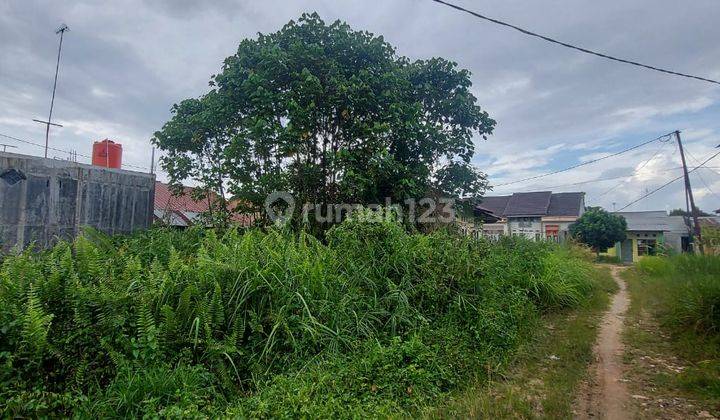 Dijual murah tanah dekat kampus uin  2