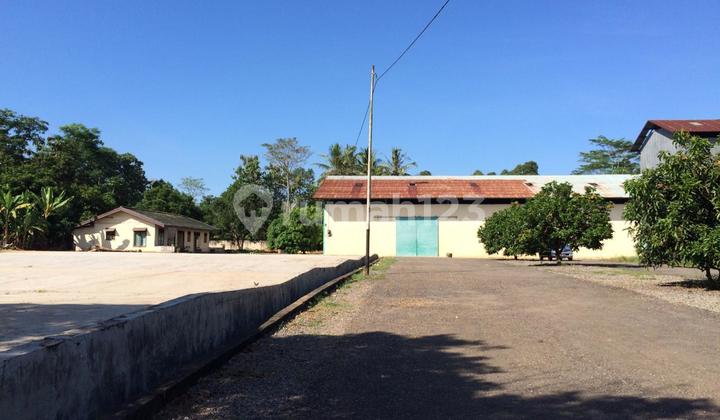 Tegineneng, Pabrik dan lahan datar 12 hektar, 400 meter dari jalan lintas sumatra