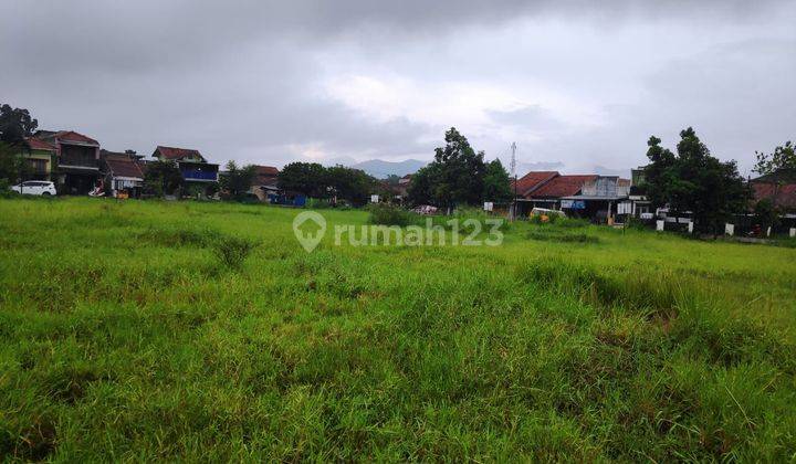 Tanah Mainroad Kawasan Zona Abu di Pameuntasan 1