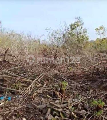 tanah dijual cepat daerah kutuh AP 1