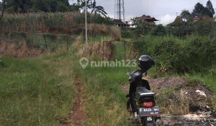 Lahan murah di kawasan Cipanas puncak 2