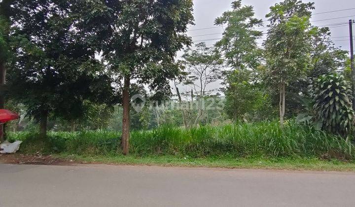 TANAH 1 HEKTAR PINGGIR JALAN RAYA DAERAH SEJUK DARANGDAN PURWAKARTA 2