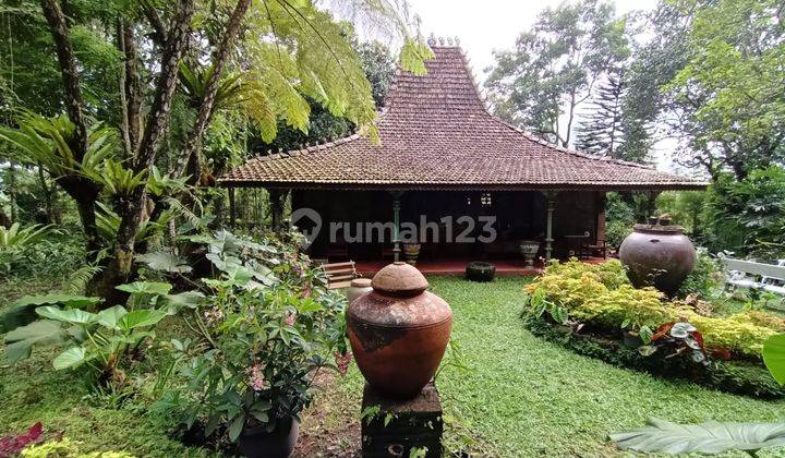 Tanah Shm Kawasan Villa Dekat Ullen Sentalu 1