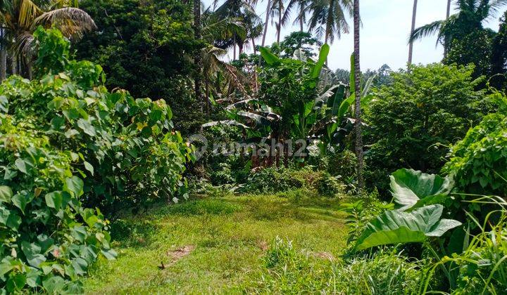 Cheap land in the rice fields and valleys of the Ubud area 1