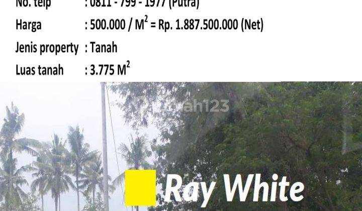 Dijual Tanah di Jatimulyo, Lampung Selatan 1