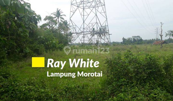 Dijual Tanah di Jatimulyo, Lampung Selatan 2