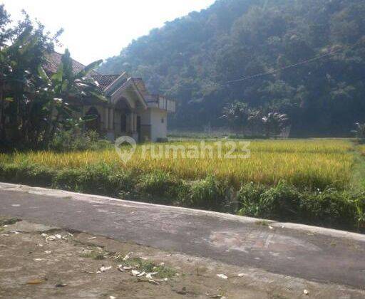 Pekarangan 200m2 Dekat Jalan Utama Matesih  1