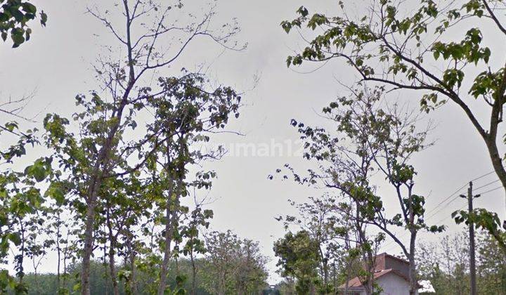 Tanah Zona Merah Untuk Industri Di Bendosari Sukoharjo 2