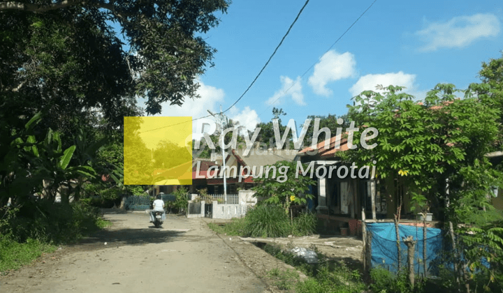 Dijual Tanah di Katibung, Lampung Selatan 1