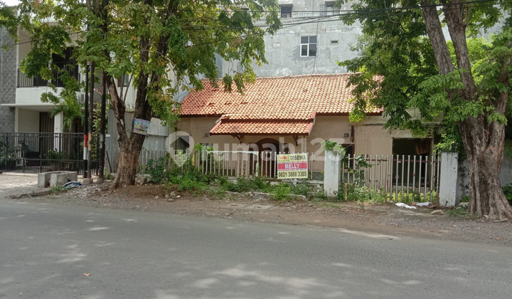 Tanah Disewakan di Jl. Halmahera Semarang 1