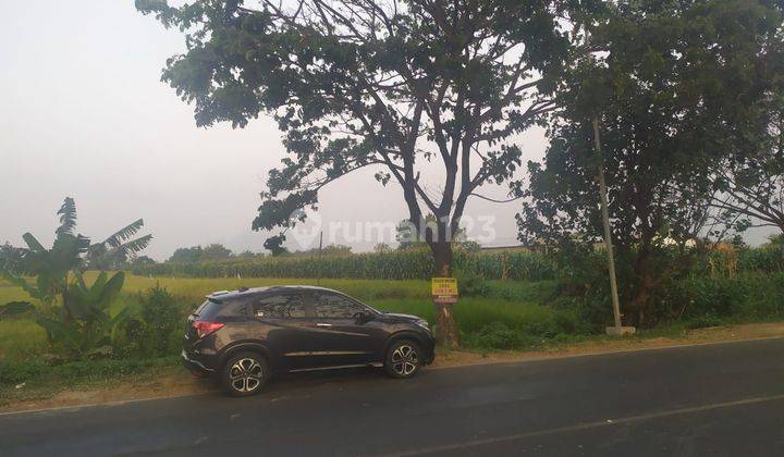 Tanah SHM LT 7940 m2 Hadap Utara di Jl Segunung Pacet Mojokerto 1