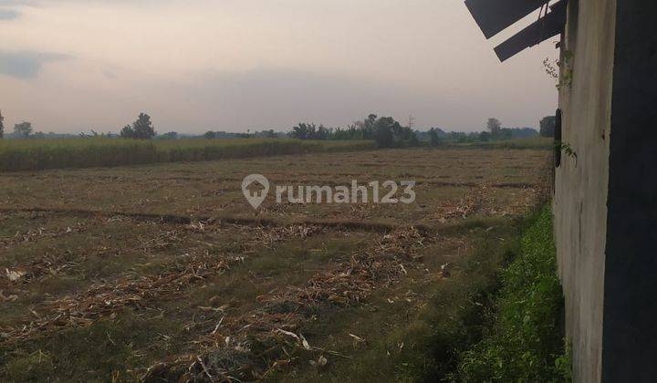 Tanah SHM LT 7940 m2 Hadap Utara di Jl Segunung Pacet Mojokerto 2