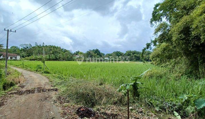 Dijual Tanah murah luas cocok untuk pertanian, perkebunan, peternakan 1