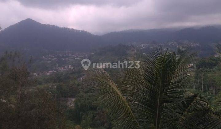 Pekarangan 2.430m2 Dekat watu Sewu Tawangmangu  2