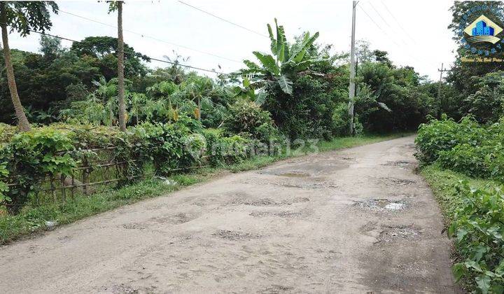 Jual Tanah Di Jalan Raya Padasuka, Warunggunung - Rangkasbitung, Lebak 2