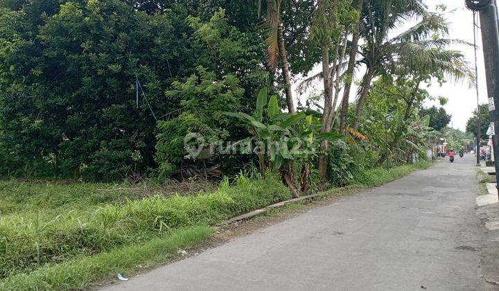 Tanah Sawah Sendangadi Mlati Sleman Yogyakarta 2