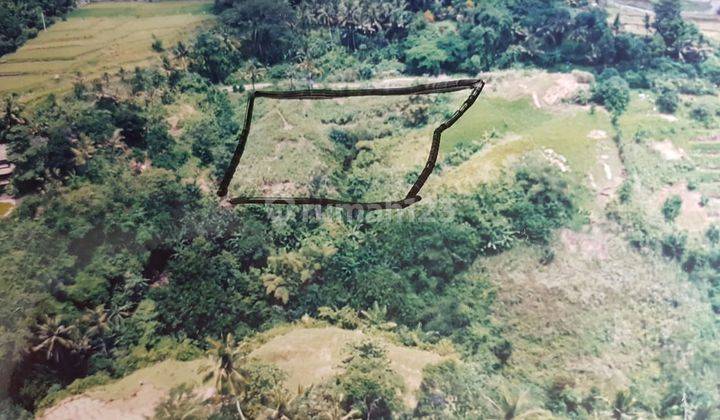 TANAH VIEW SAWAH DEKET GOA GAJAH UBUD 1