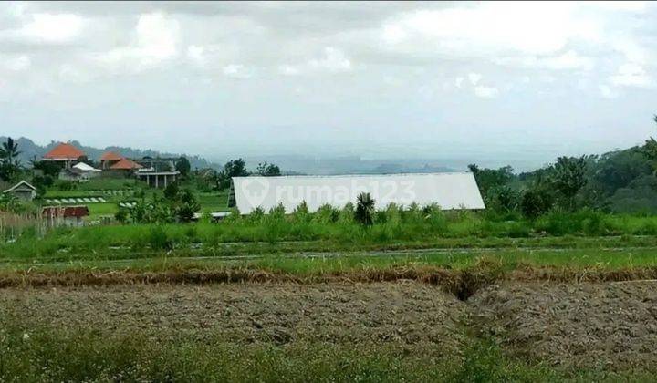 Tanah view lembah dan gunung dekat Karmel Bedugul Bali 1