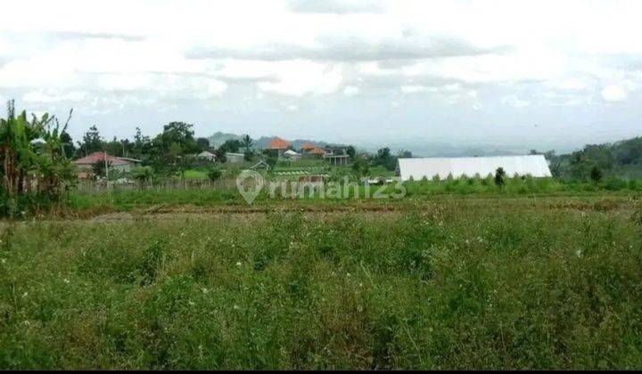 Tanah view lembah dan gunung dekat Karmel Bedugul Bali 2