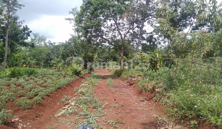 Tanah Kramas Mulawarman Tembalang Semarang 1