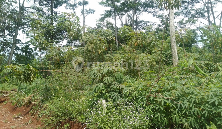 Tanah Kramas Mulawarman Tembalang Semarang 2