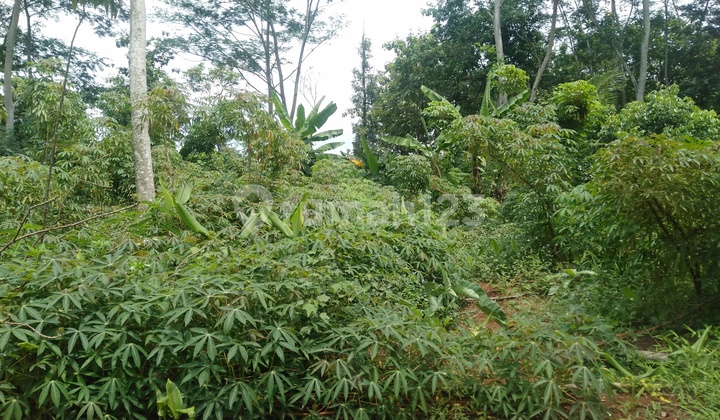 Bulusan Mulawarman Land, Tembalang, Semarang 2